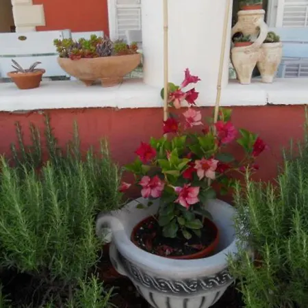 Dea & Paula - Two Bedroom With Terrace Apartment