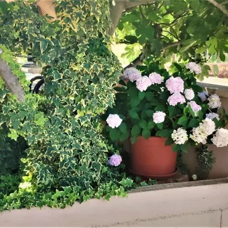 Dea & Paula - Two Bedroom With Terrace Appartamento Vodice