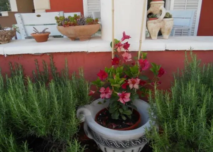 Dea & Paula - Two Bedroom With Terrace Appartement